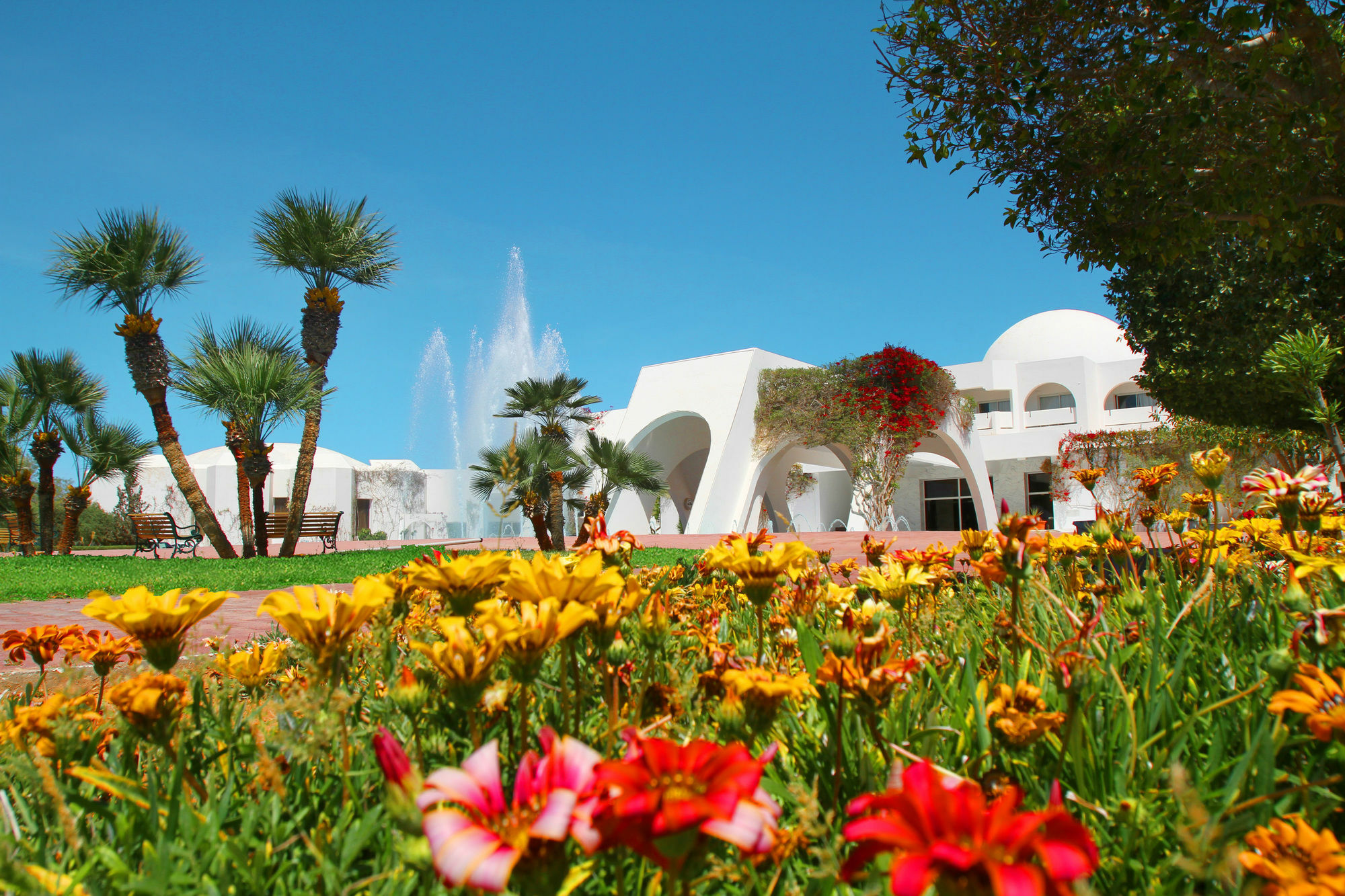 Djerba Plaza Thalasso & Spa Triffa Exterior foto